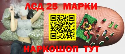 спиды Можга