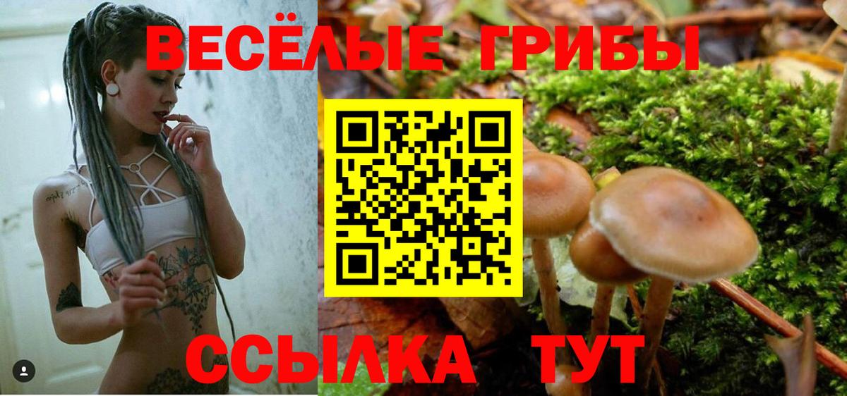 Дербент  Псилоцибиновые грибы ЛСД  цена наркотик  Вход с VPN 